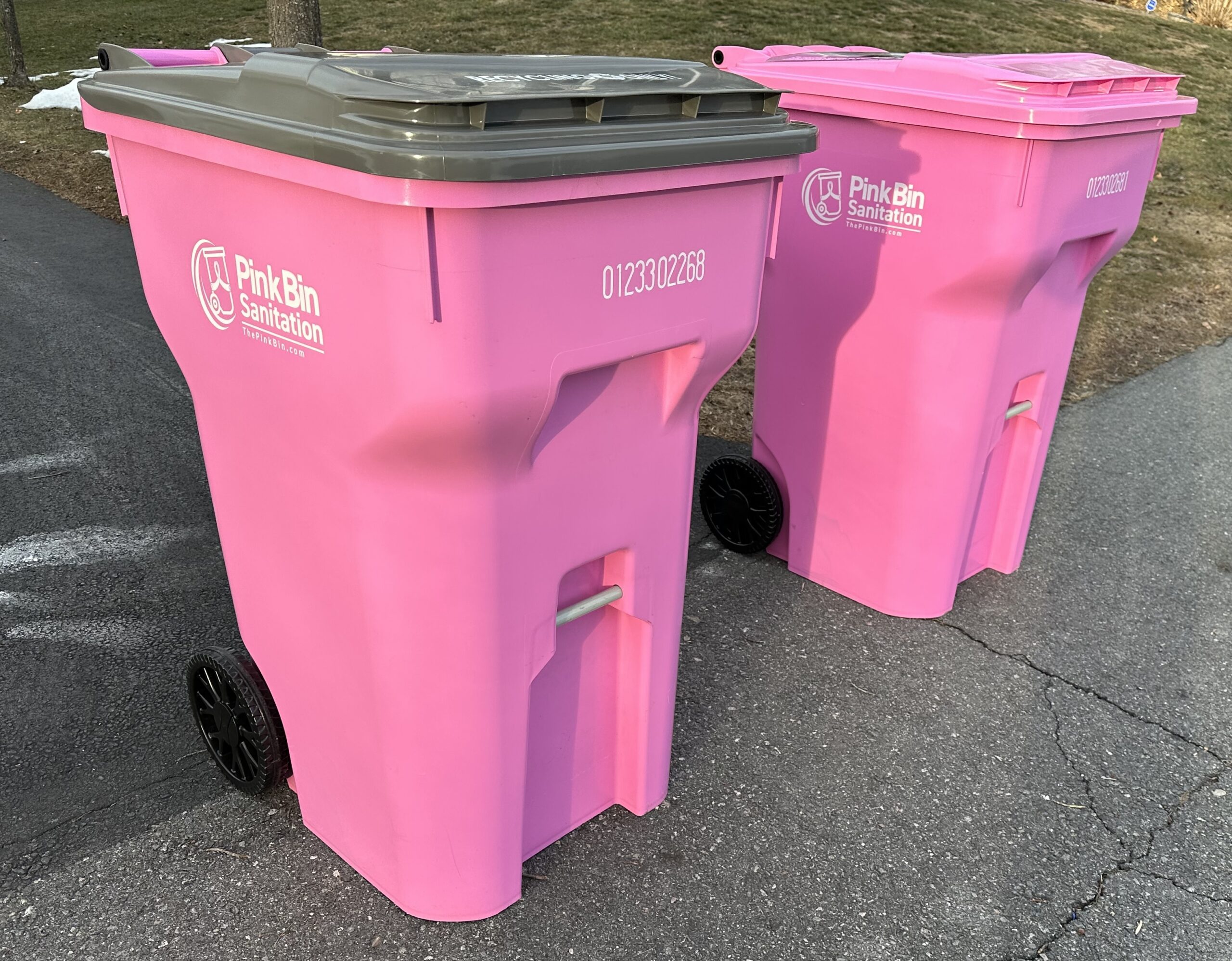 Trash & Recycling Pickup Pink Bin Sanitation